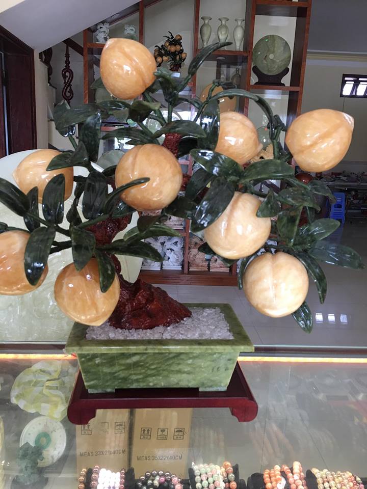 Cây đào ngọc hoàng long 9 quả lớn