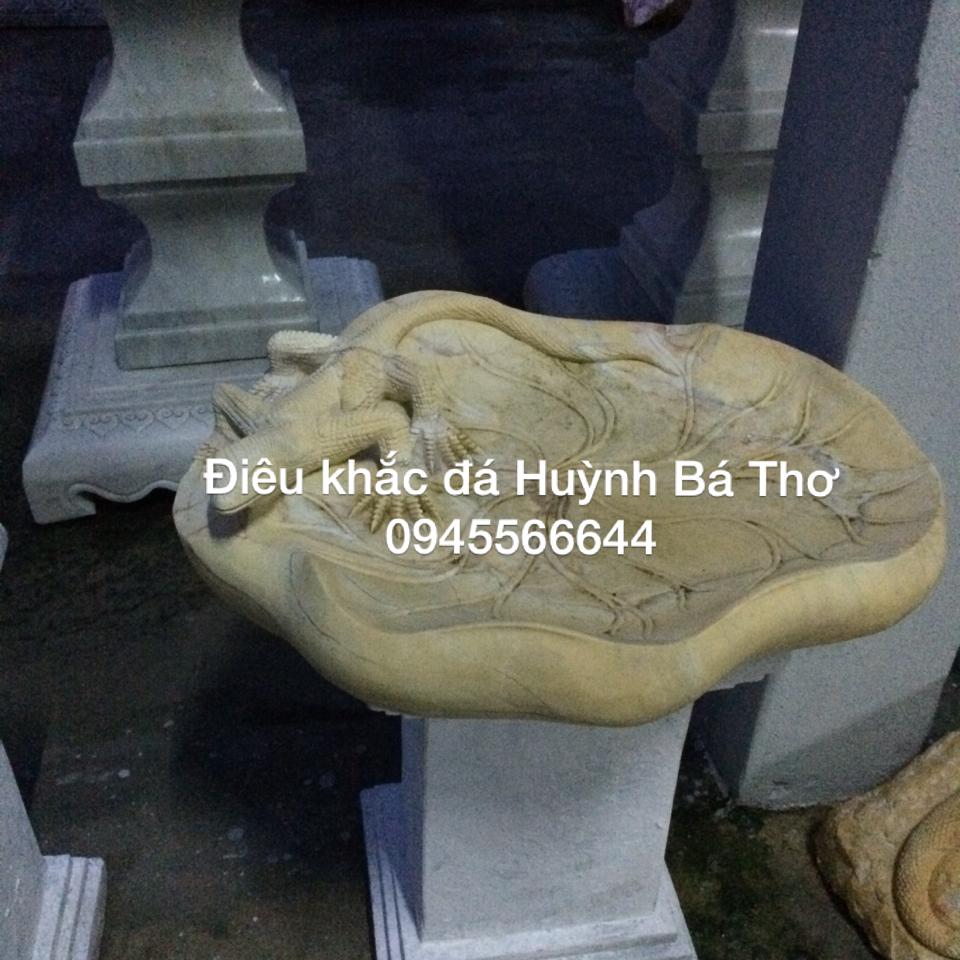 Chậu đá thằn lằn
